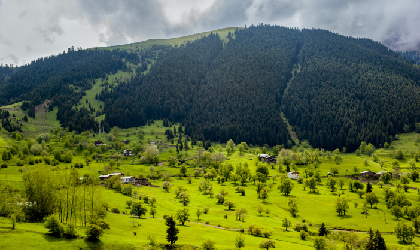 Phobjikha Valley